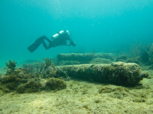Megan over Living Museum of the Sea site