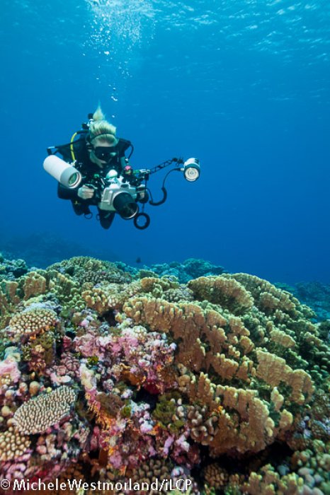 Megan over coral