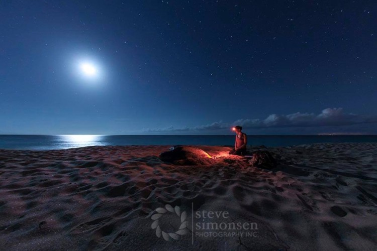 Shot by Steve Simonsen of a patroller sitting with a nesting leatherback.