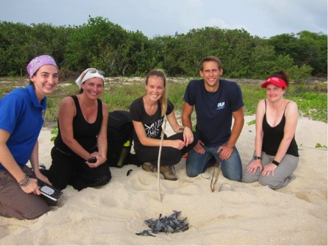 The NOAA crew waiting for all of the hatchlings to emerge before taking genetic samples. Photographs were taken with permission from the U.S. Fish and Wildlife Service.  No flash photography or lights were used because lights can disturb and disorient nesting and hatchling turtles. 