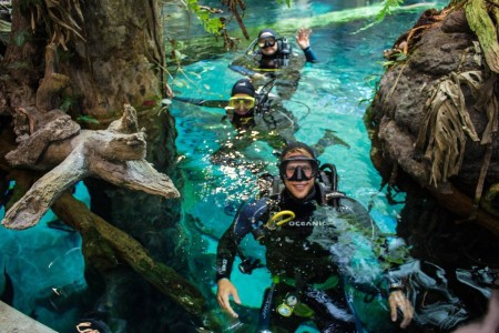 Diving in the Amazon Flooded Forest exhibit with two of the volunteers at the Cal Academy of Sciences.