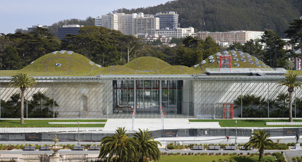 The unique roof of the Cal Academy of Sciences is 2.5 acres of 1.7 million native plants. 