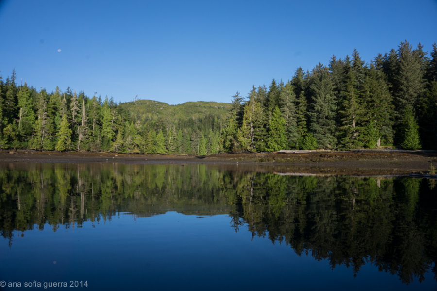 Clam Cove