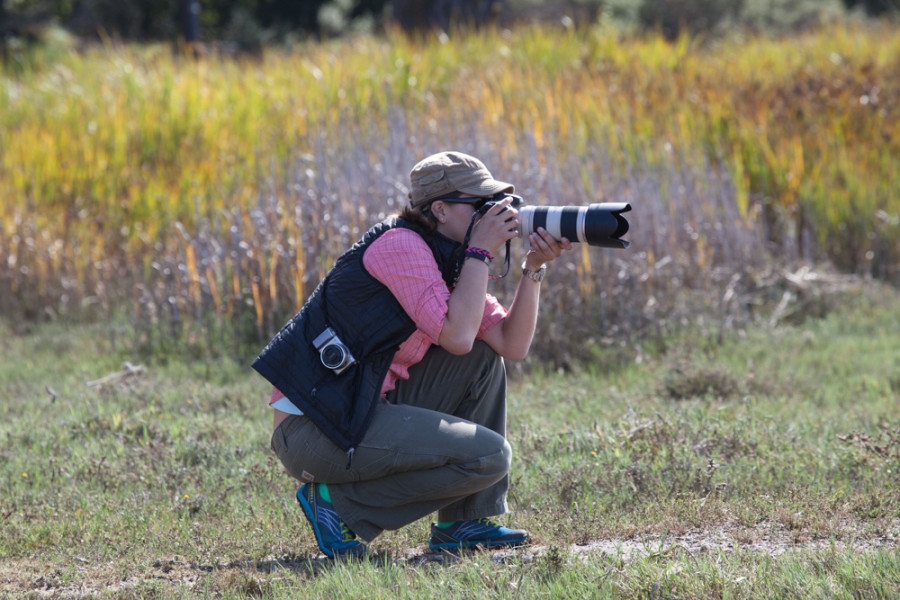 Trying to shoot some elusive shorebirds