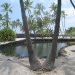 Fishpond at the Place of Refuge