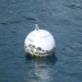 NPS mooring ball