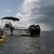 Biscayne Turtle Monitoring