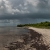 Thunderstorm Brewing