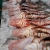 Lionfish on the Dock