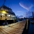 Loggerhead from the Dock