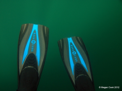 Aqualung fins