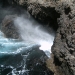 Blowhole