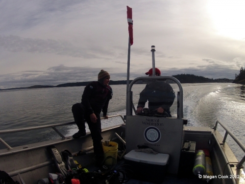 DCIM\100GOPRO