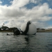 Cleaning buoys on the USS Utah