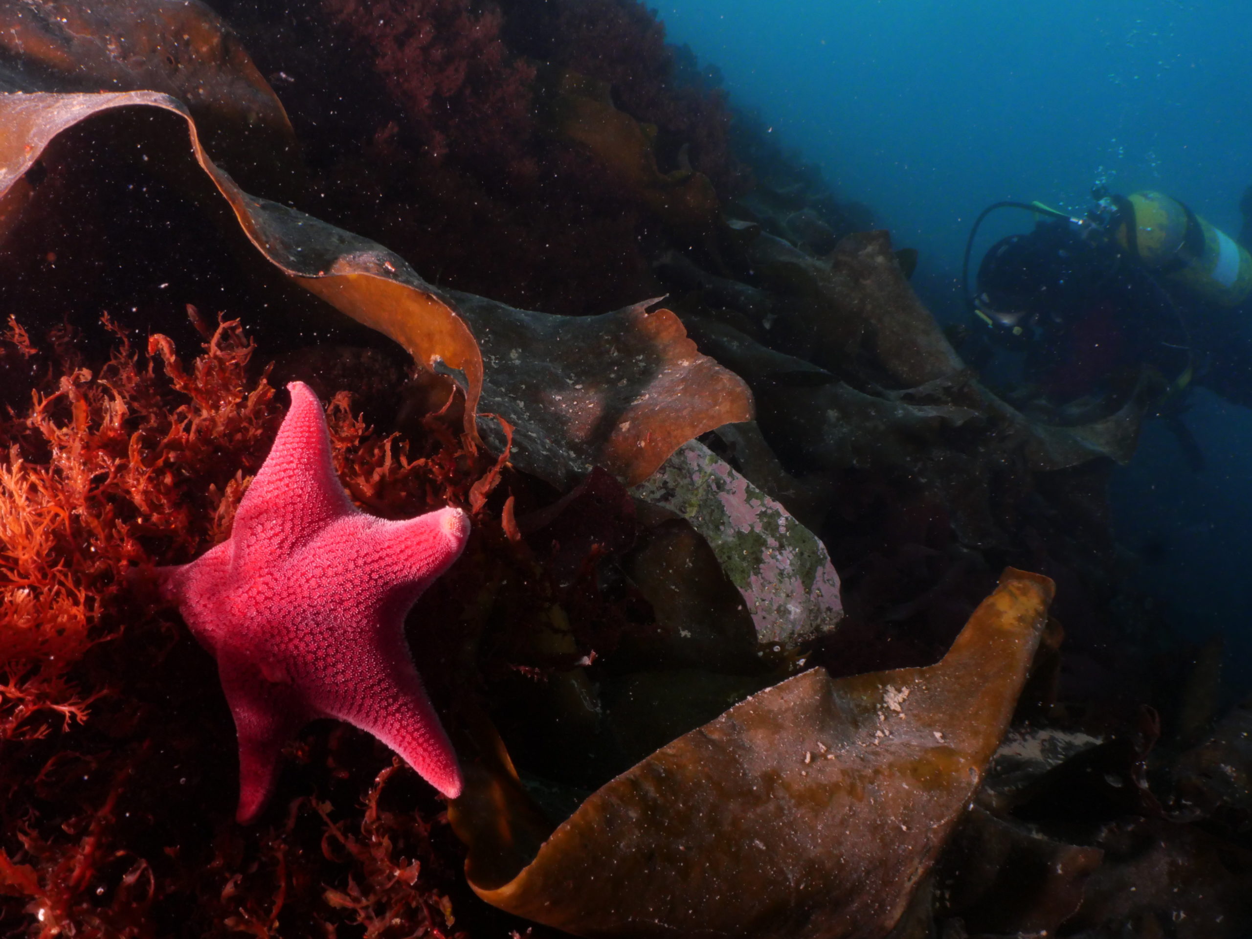 Ice Cold Sponge Bath - OWUSSNorthAmerica.org